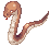 Snake Lord