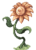 Yellow Flower
